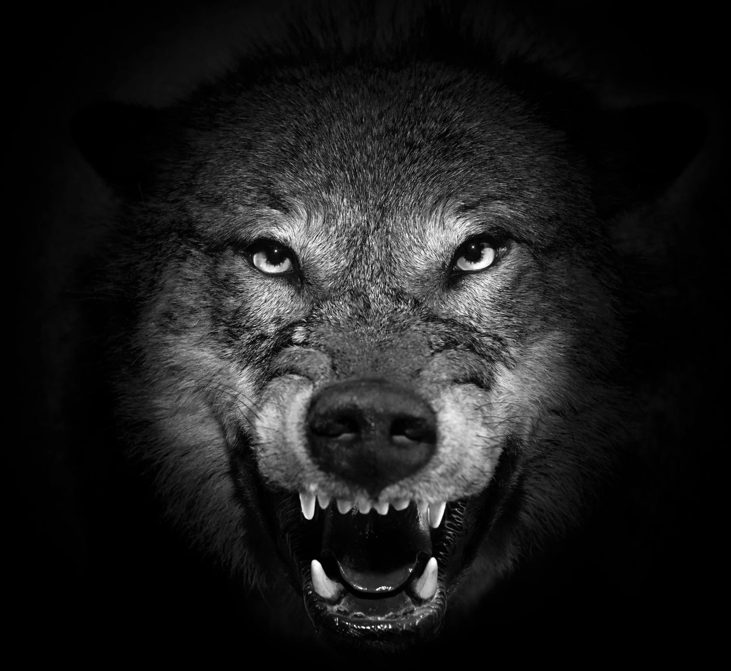 Inwardly Ravening Wolf