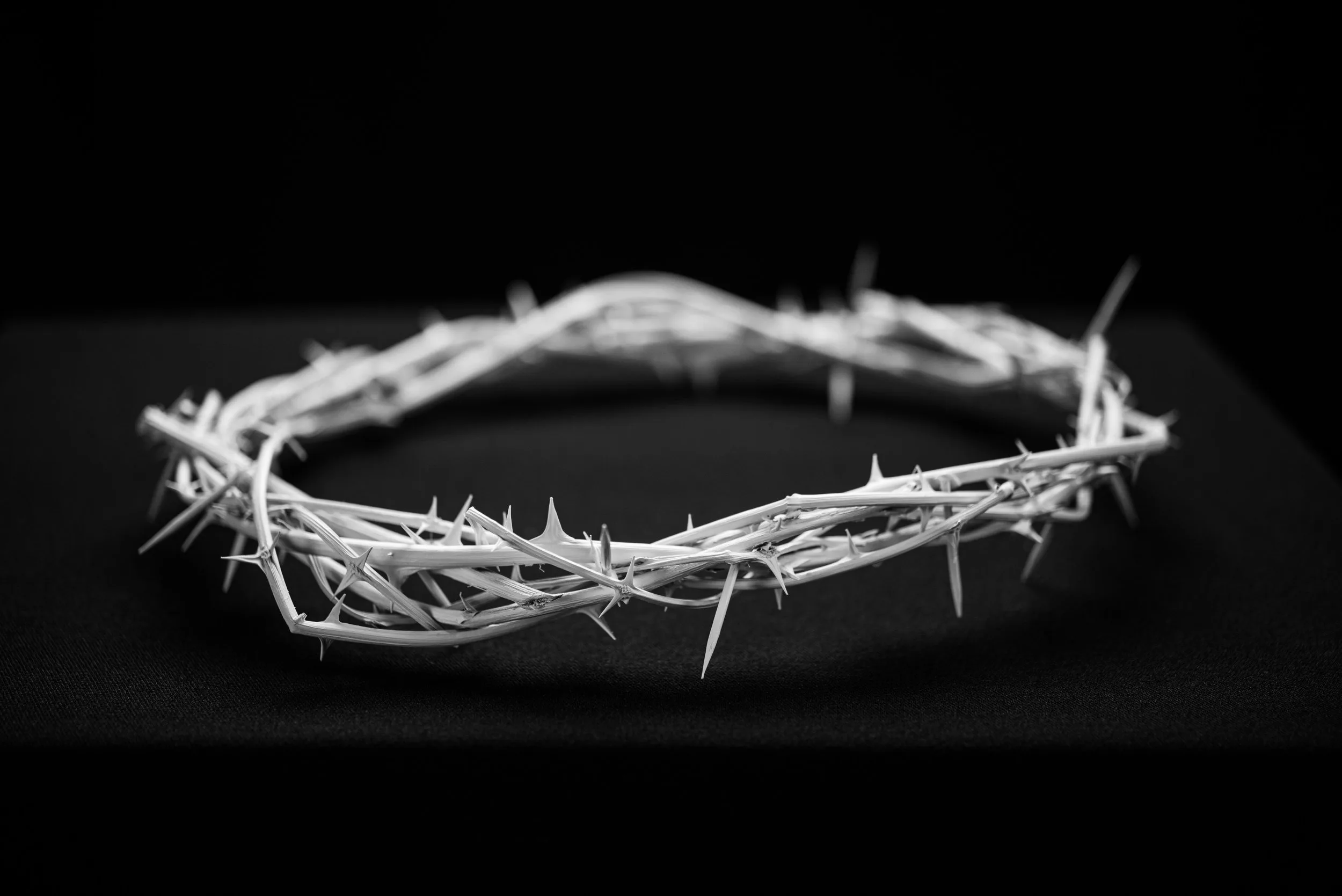 Crown of thorns on a dark background