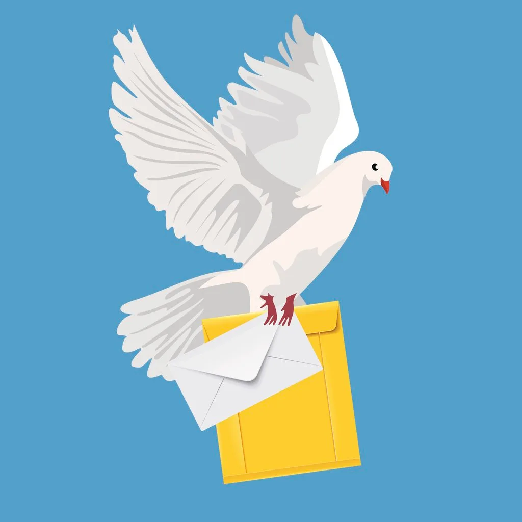 White Messenger Bird